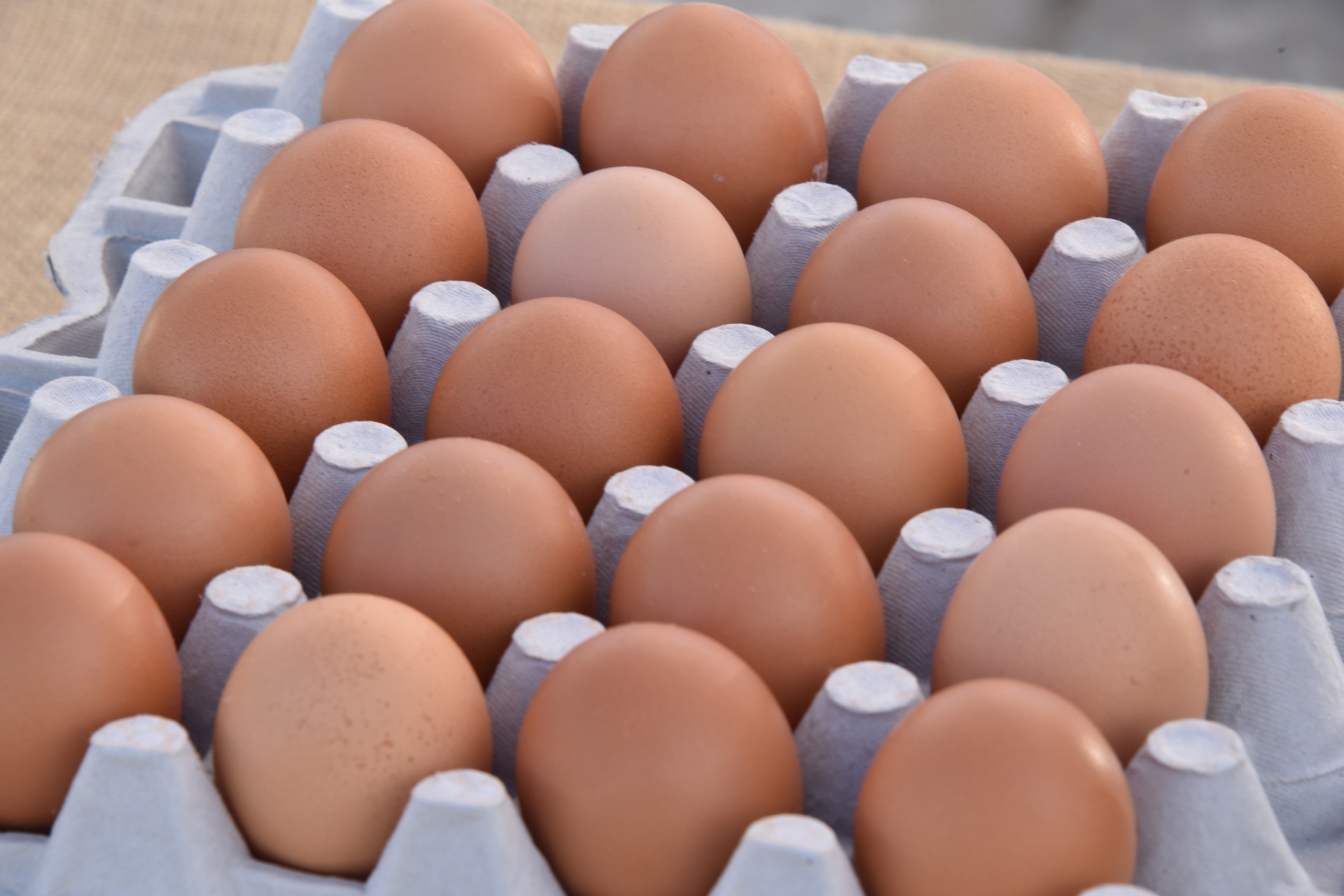 dozen brown eggs
