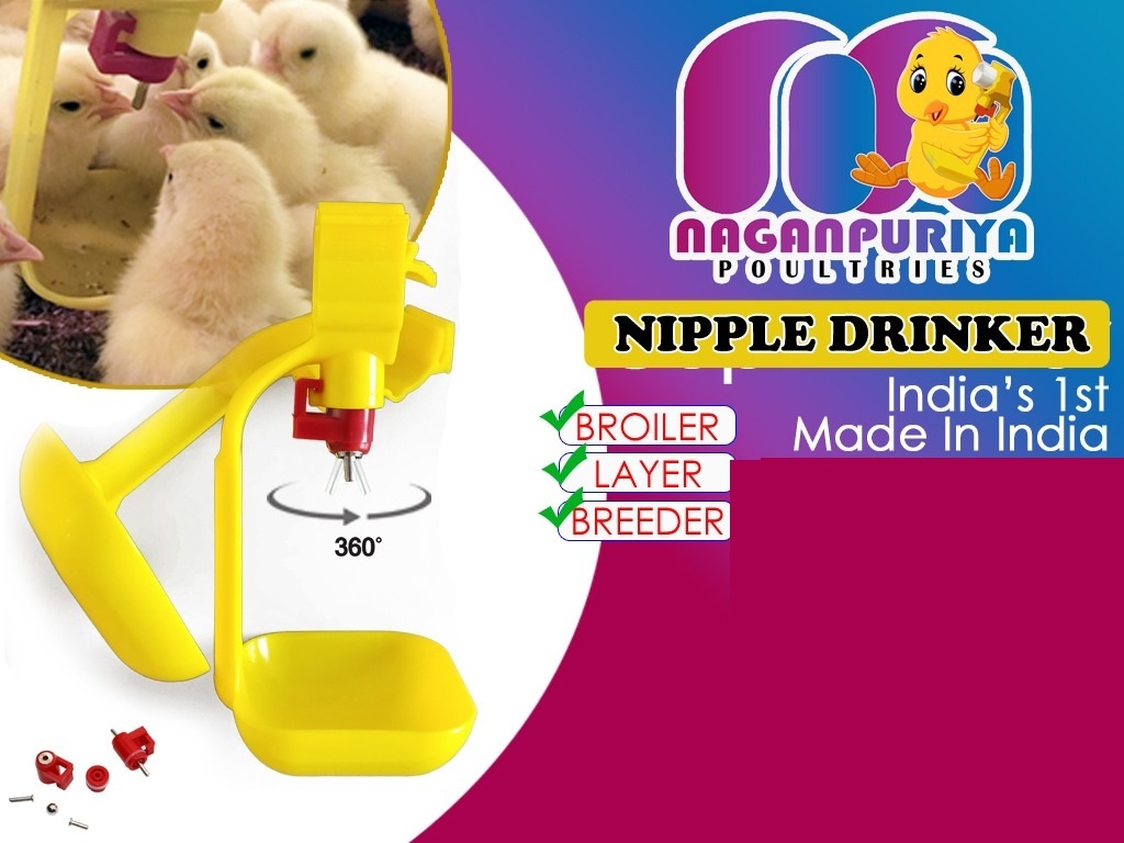 Poultry Nipple Drinker Drip Cup at Rs 75/piece, Poultry Drinker System in  Dhuri