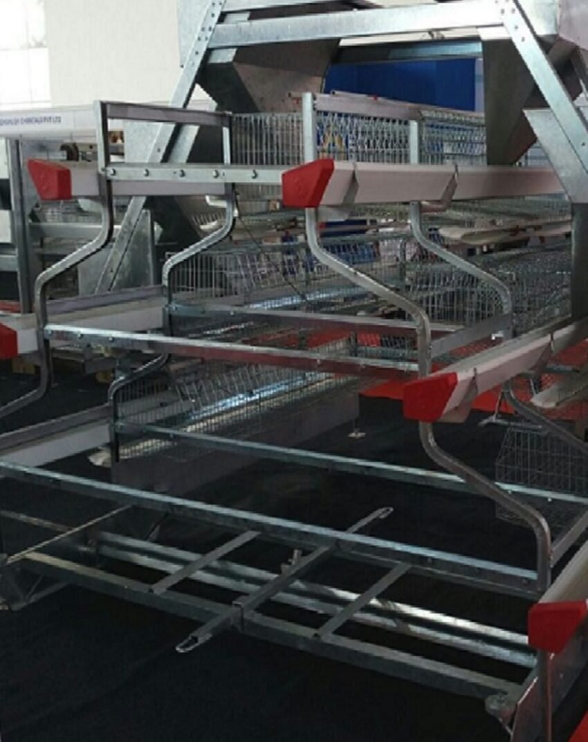 Cages System for 5000 Birds with push type feeding trolley and manure scrapper system 1 3 2